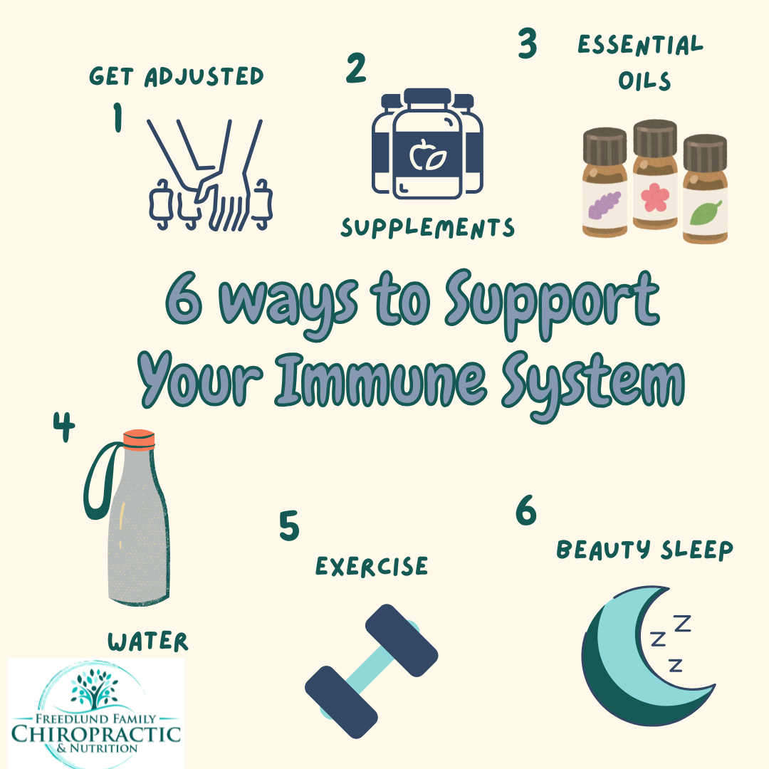 Chiropractic Winnebago IL 6 Ways to Support Your Immune System